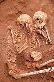 Tajemnicze wyspy: Bunt na wyspie zabójstw (2)