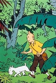 Tintin & The Prisoners of the Sun