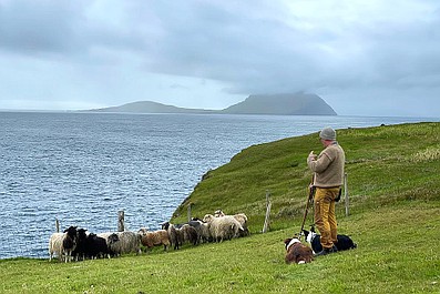 U sąsiadów w kuchni 14 (8)