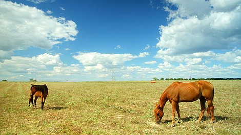 Wielkie amerykańskie rancza (14)