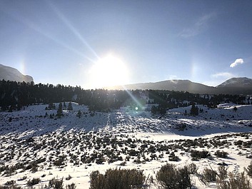 Wilki z Yellowstone: dziedzictwo (1)