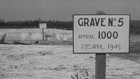 Wszystko, co zobaczyli