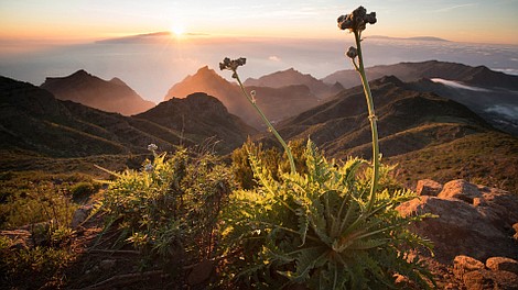 Natura w Jedynce: Wyspy Kanaryjskie: Góry ognia
