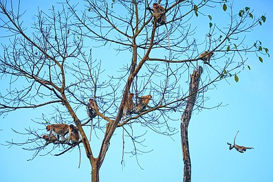 Wyspy. Laboratoria natury (2)