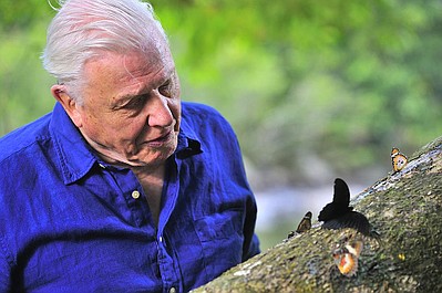 Z Davidem Attenborough dookoła świata: Siła natury (3)