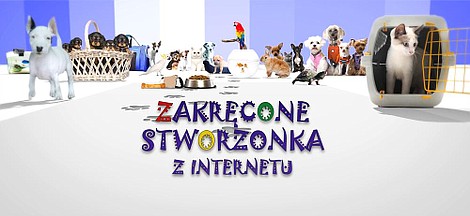 Zakręcone stworzonka z internetu 2 (4)