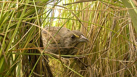Życie na krawędzi przetrwania (2)