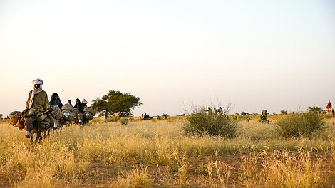 Życie na krawędzi przetrwania (3)