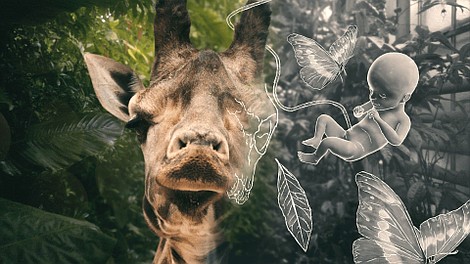 Życie i inne problemy