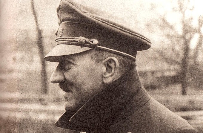 zdjęcie