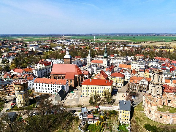 zdjęcie