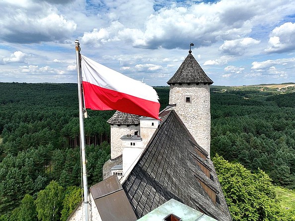 zdjęcie