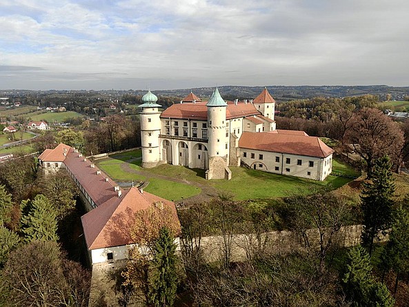 zdjęcie