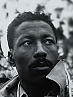 Gordon Parks Jr.