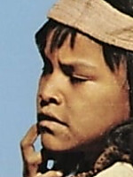 Noland Clay