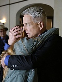 Agenci NCIS 13 (4)