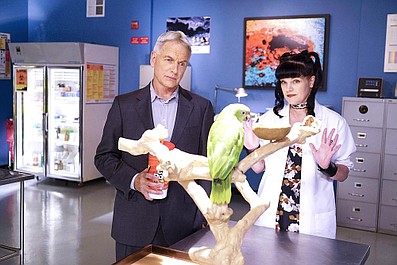 Agenci NCIS 14 (13)