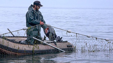 Alaska: Następne pokolenie: Las widmo (9)