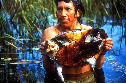 Najgroźniejsze zwierzęta świata: Amazonia