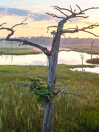 Amerykańska Amazonia: Ukryte lasy (1)