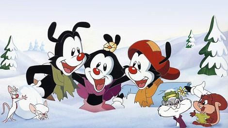 Animaniaki: Życzenie Wakko
