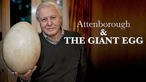 David Attenborough i madagarski olbrzym