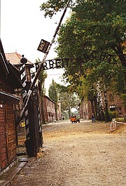 Auschwitz - fabryka śmierci: Wyzwolenie i zemsta (6-ost.)