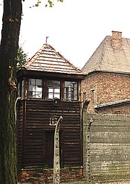 Auschwitz - fabryka śmierci: Wyzwolenie i zemsta (6)