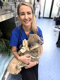 Australia: na ratunek zwierzętom: Arni - koala (4)