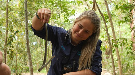 Australijscy łowcy węży: Potrójne zagrożenie (2)