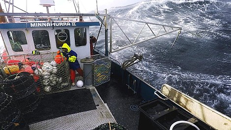 Australijscy poławiacze homarów: Dochodowy połów (1)