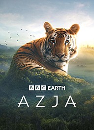 Azja: kulisy produkcji (1)