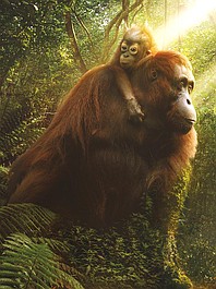 Azja: kulisy produkcji (5)