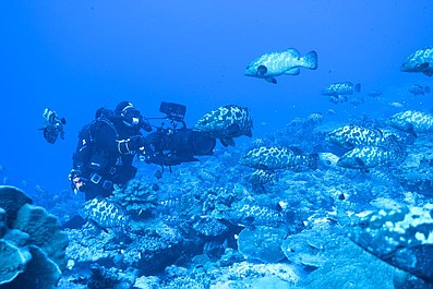 BBC w Jedynce: Błękitna Planeta 2: Rafy koralowe (3)