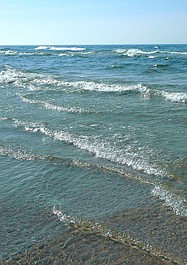 Bałtyk - dzikie morze (1)