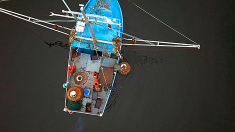 Bohaterowie z St. John's 2: Wóz albo przewóz (3)