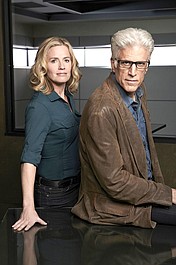 CSI: Kryminalne zagadki Las Vegas 13 (17)