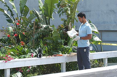 CSI: Kryminalne zagadki Miami (2)