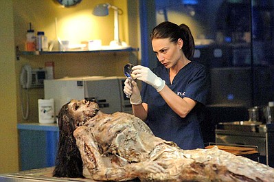 CSI: Kryminalne zagadki Nowego Jorku (50)