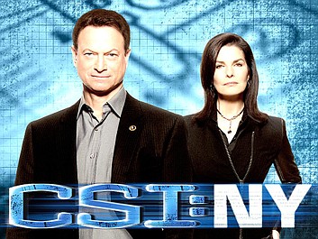 CSI: Kryminalne zagadki Nowego Jorku: Ekran śmierci (15)