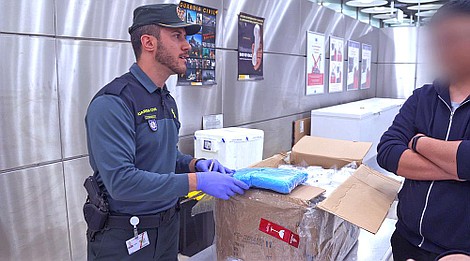 Celnicy na straży Europy (5/20)