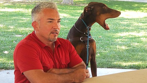 Cesar Millan: lepszy człowiek, lepszy pies: Psia terapia (9)