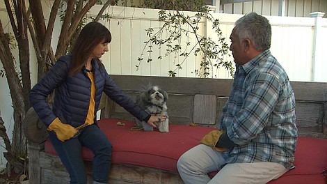 Cesar Millan na ratunek (9)