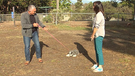 Cesar Millan na ratunek: Pogromca kóz (8)