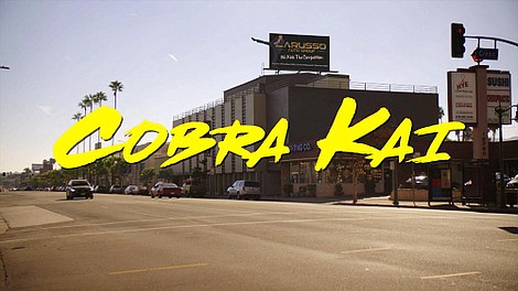 Cobra Kai (29)