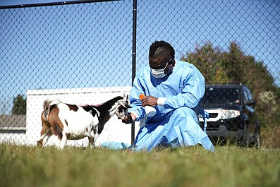 Critter Fixers - zwierzęcy cudotwórcy: Nietypowy problem (10)