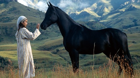 Czarny źrebak