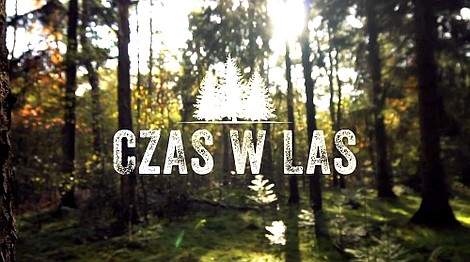 Czas w las (1)