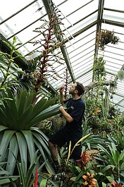 Cztery pory roku w ogrodach Kew 2 (6)