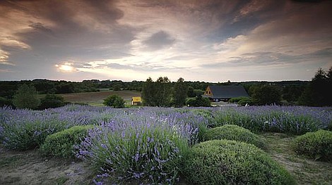 Daleko od miasta (5)